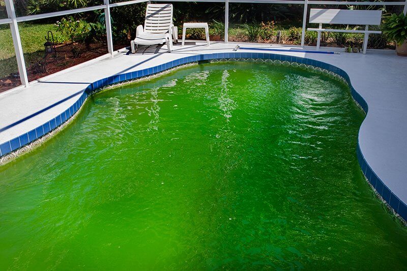 How to Clear Up a Green Swimming Pool Fast