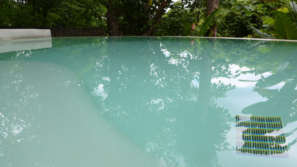 swimming pool in the garden
