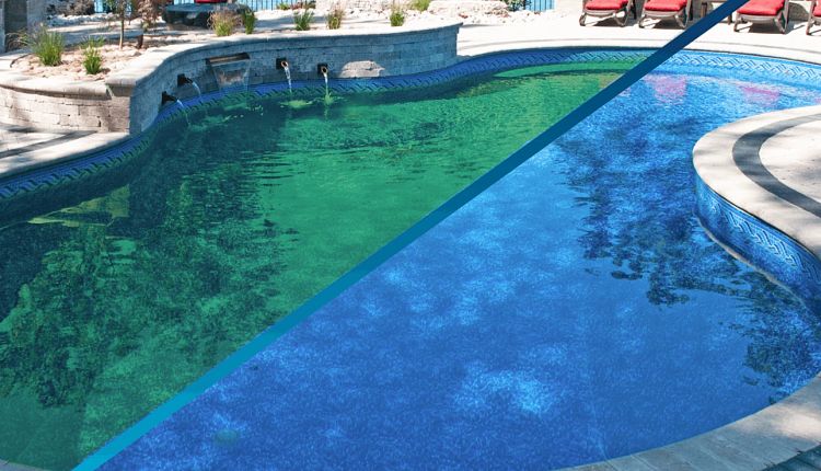 How to Get Rid of Algae in Your Pool